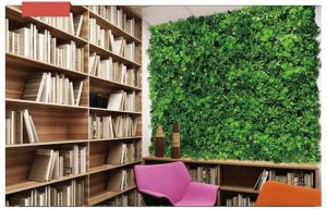 HTB1ge3xTxnaK1RjSZFtq6zC2VXaB